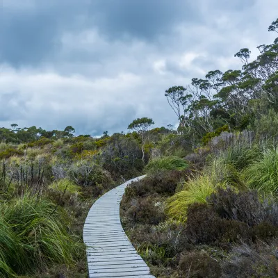 Отзывы об отеле Poomaz Peace Palace - Ella