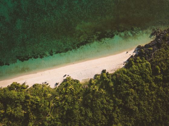 Airlie Beach Lagoon