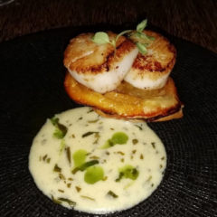 Newport Seafood Restaurant User Photo