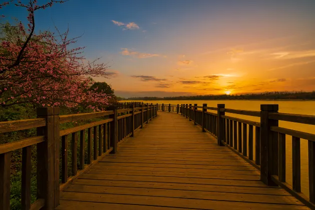 Отзывы об отеле Atour Hotel Chengdu Tianfu Square Huaxiba Metro Station