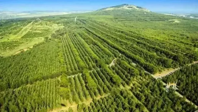 Nan Mountain Forest Park