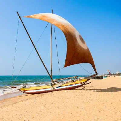 Negombo Central Fish Market周辺のホテル