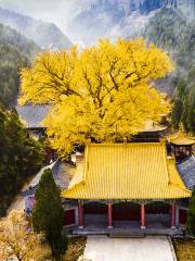 Tangdou Temple