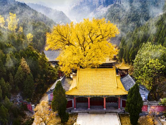 Tangdou Temple