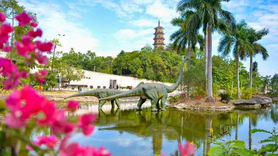 河源市博物館-龜峯塔