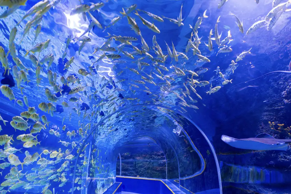 4_Guanlan Ocean World
