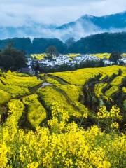 Wuyuan Scenic Area