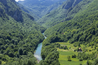 Tara River Canyon