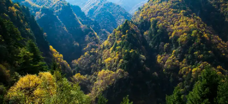 Hotels in Jishishan