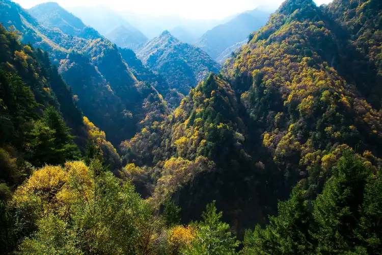 Hotels in Jishishan