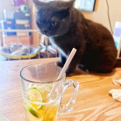 Woodpecker Bar, Cafe & Restaurant User Photo