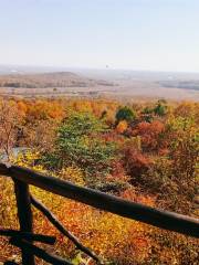 回龍山生態田園旅遊區