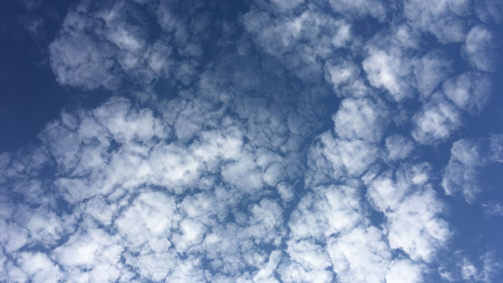 Hai'an Dian Shang Paradise