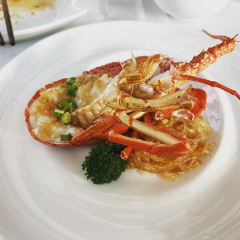 오동나무 여행 사진