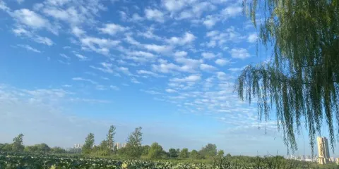 陶沖湖公園