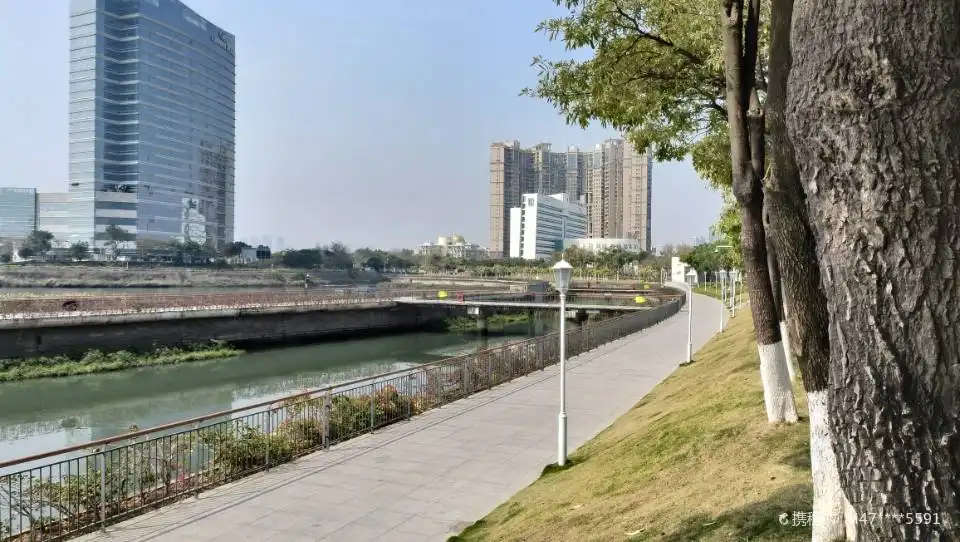 月美池公園周辺のホテル