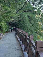 Laoshan National Park