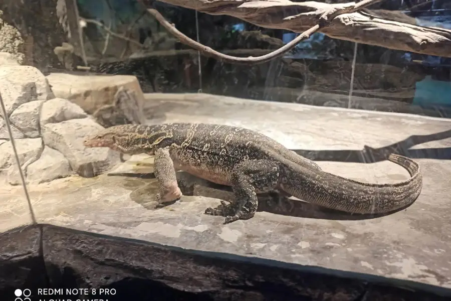 両棲爬行動物館