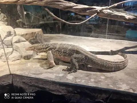 Hotels near Amphibians & Reptiles House