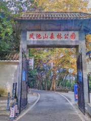 Fengchishan Forest Park