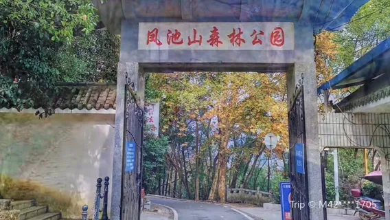 Fengchishan Forest Park