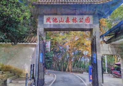 Fengchishan Forest Park