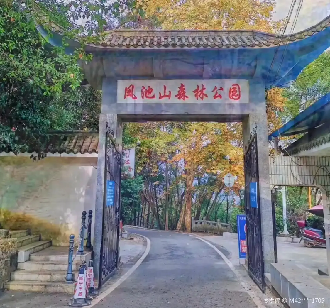 Hotels near Fengchishan Forest Park