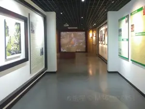 Xiantao Museum