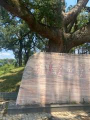 蘇溪塘登森林濕地公園