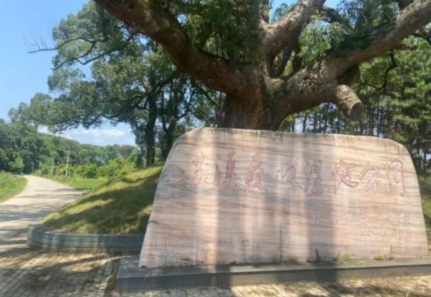 蘇溪塘登森林濕地公園