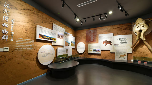 Hebei Geological Museum