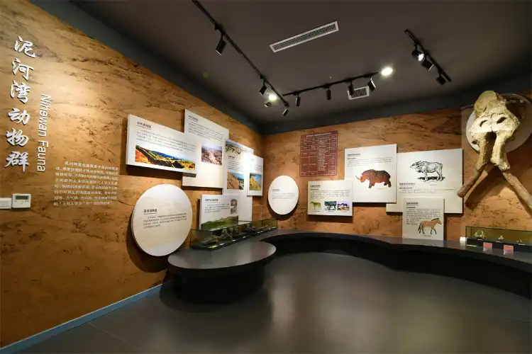 Hotels near Hebei Geological Museum