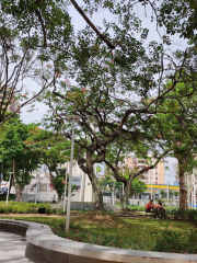 Praça Nossa Senhora de Fátima