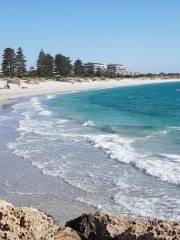 South Fremantle Dog Beach