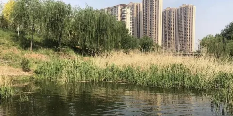 商中河濕地公園
