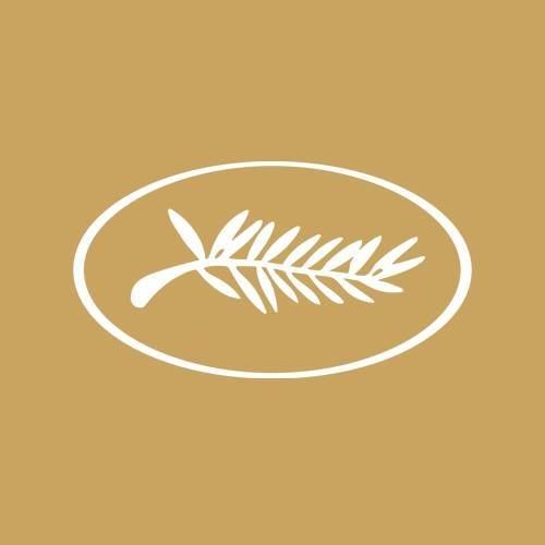 칸 영화제 | 칸느