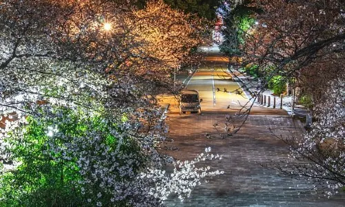 Nishi Park