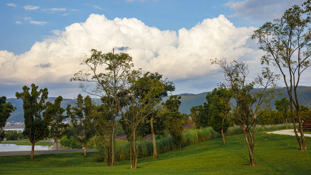 Taiping Lake Forest Town