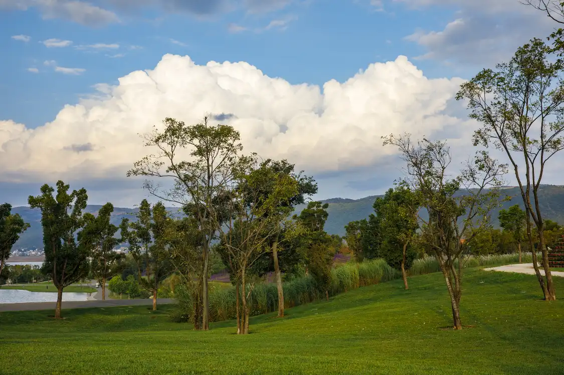 Hotels near Taiping Lake Forest Town