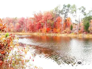 Deam Lake State Recreation Area