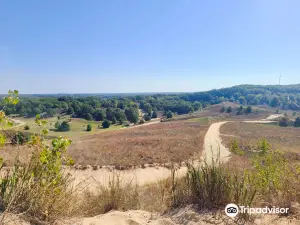 Saugatuck Dune Rides