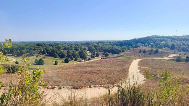 Saugatuck Dune Rides