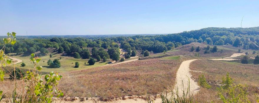 Saugatuck Dune Rides