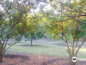 Victoria nature park