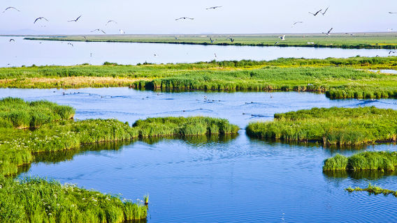 Dali Lake North Bank Scenic Area
