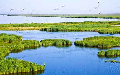 Dali Lake North Bank Scenic Area