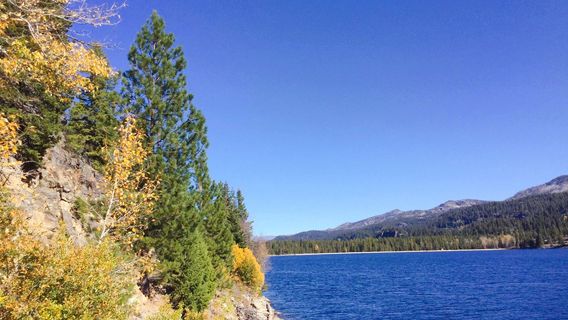 Ponderosa State Park