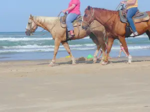 South Padre Island Adventure Park