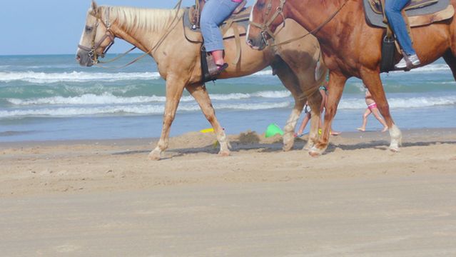 South Padre Island Adventure Park