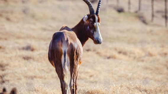 Tennessee Safari Park